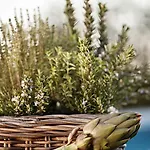Agriturismo Il Risveglio Zia Palmira Appartamento Imperia