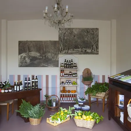 Apartamento Il Tempo Di Zia Palmira - Agriturismo Il Risveglio *
