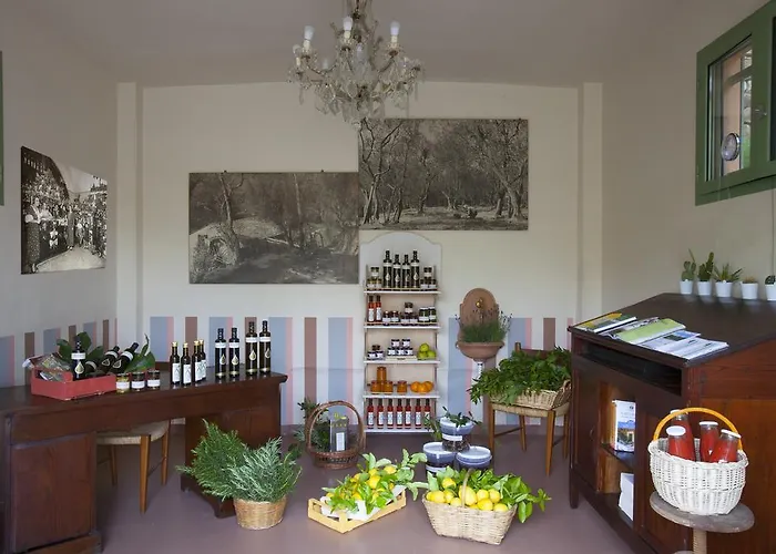 아파트 Il Tempo Di Zia Palmira - Agriturismo Il Risveglio *